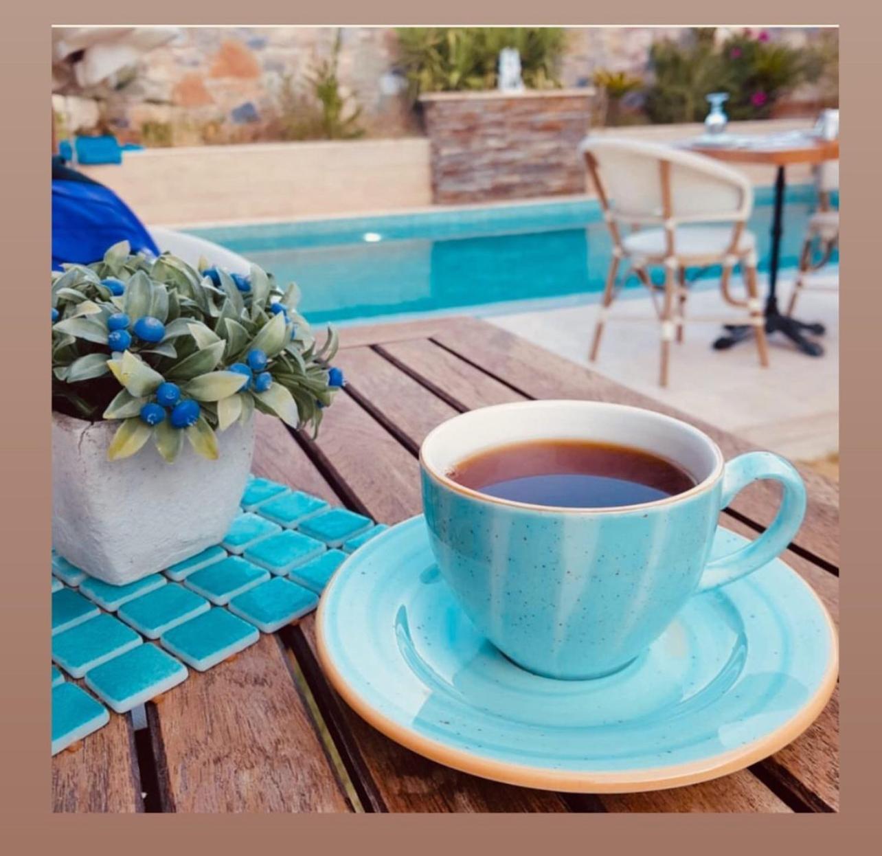 Livia Garden Hotel Σελτσούκ Εξωτερικό φωτογραφία